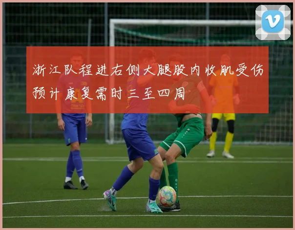 浙江队程进右侧大腿股内收肌受伤预计康复需时三至四周
